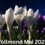 vollmond mai 2025
