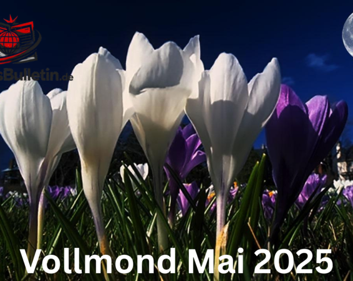 vollmond mai 2025